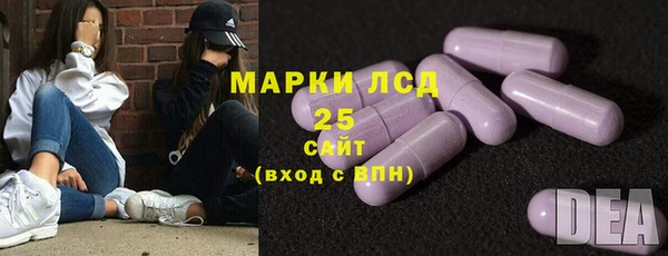 PSILOCYBIN Новодвинск