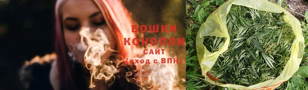 2c-b Новозыбков