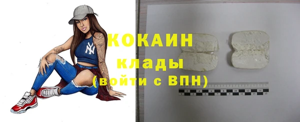 гидра Абаза