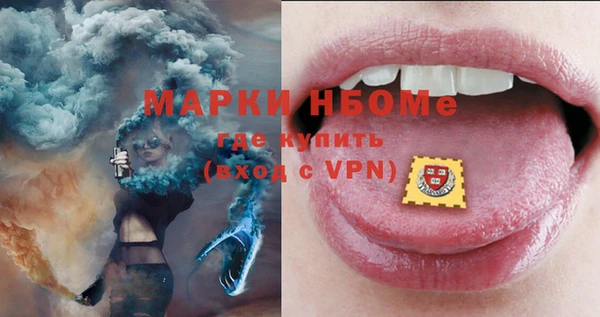 2c-b Новозыбков