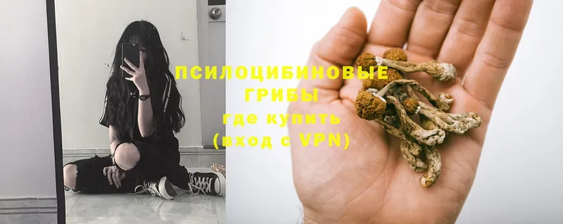 Псилоцибиновые грибы MAGIC MUSHROOMS  купить   Пошехонье 