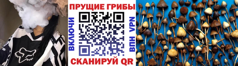 Галлюциногенные грибы MAGIC MUSHROOMS  где купить   Пошехонье 
